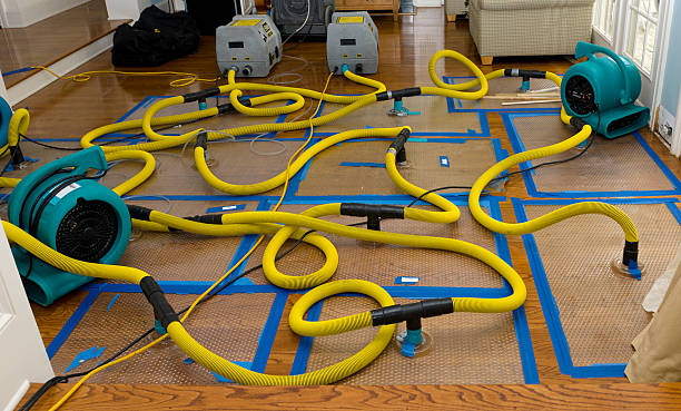 Professional Crawl Space Water Removal technician working in Oakville, WA